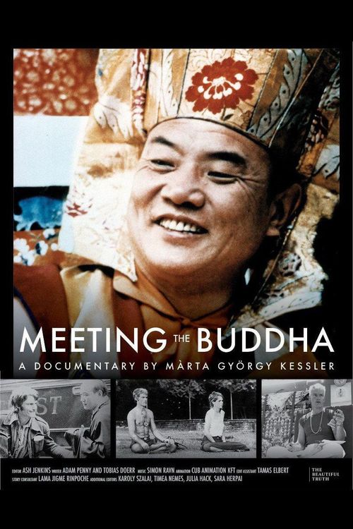 Filmplakat Meeting the Buddha